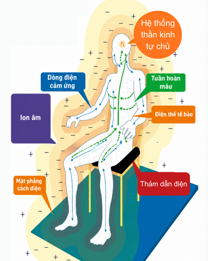 Liệu pháp điện trường cao áp là gì? Lịch sử thiết bị điện trường cao áp?